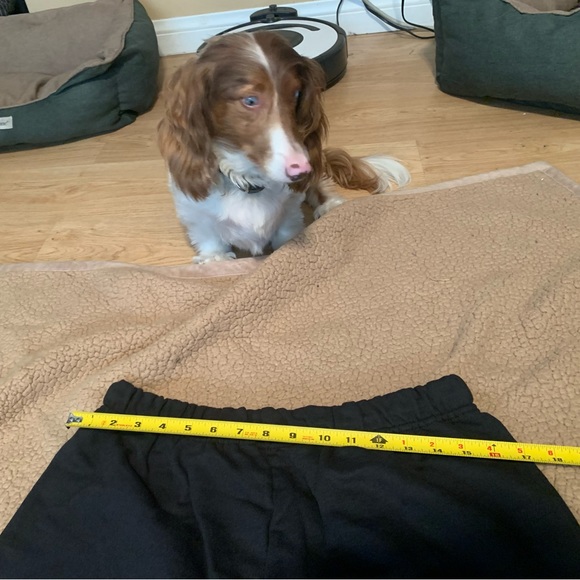 Body Glove Sweats - Picture 5 of 9